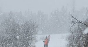 Keskkonnaamet pikendas Juuru jahipiirkonna kasutusõiguse luba