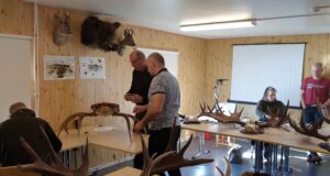 Ida-Virumaal hinnati jahitrofeesid