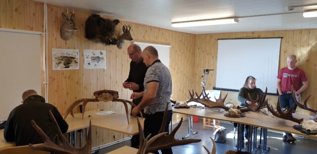 Hinndamine ida-virus