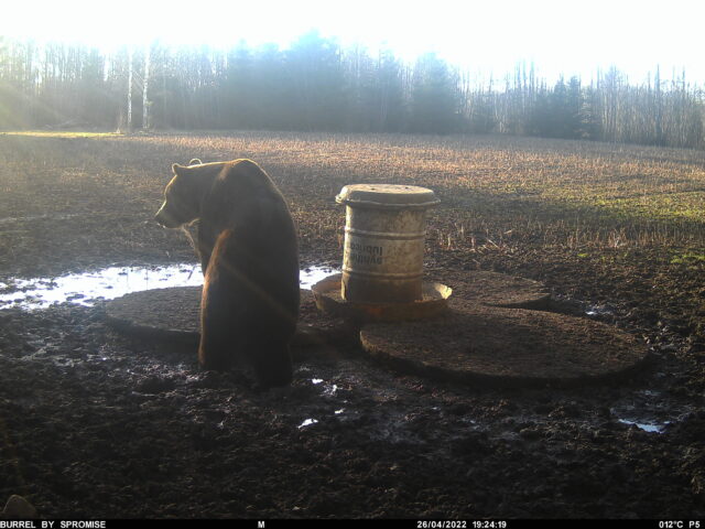 Karu rool 26.04.2022