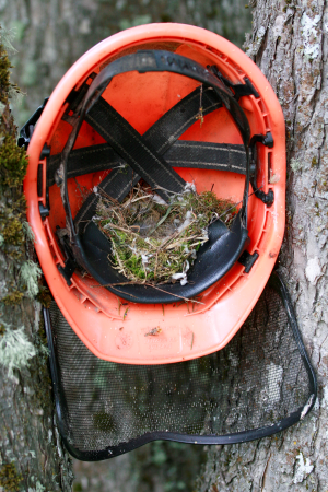 pesitsusrahu_pilt-Piret-Eensoo