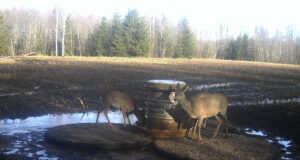 Sõralistel kiired ajad