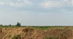 Saaremaal on kaduma läinud hagijas