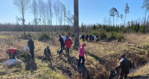 Tori-Sindi jahimehed istutasid metsa