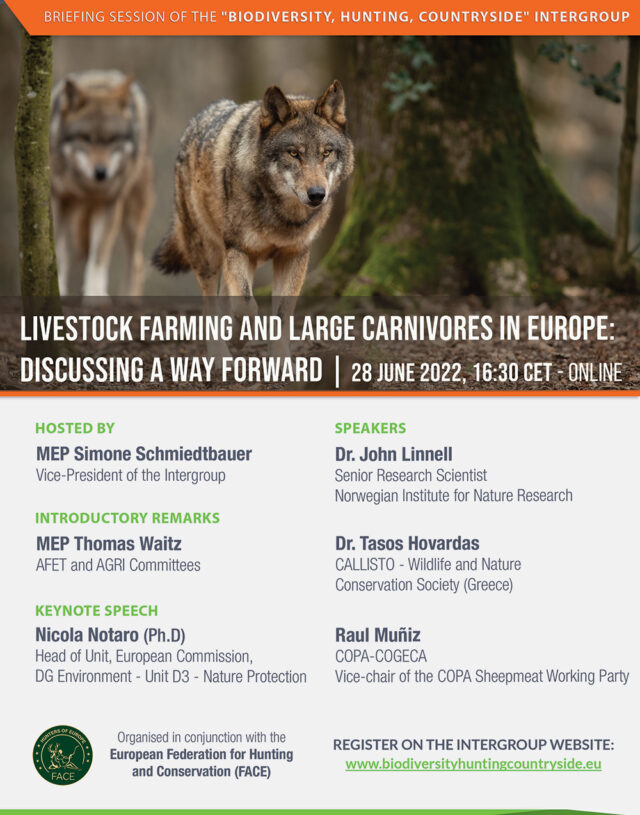 IG_Large_Carnivores_28_June_2022-copy