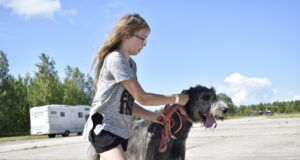 Tegevusi leidub nii koertele kui lastele