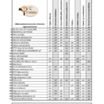 Võistlused_06.07.22