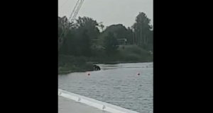 VIDEO: Karu käis wakepargis ujumas