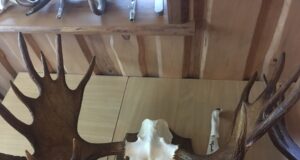 Infopäev põdrast ja valiklaskmisest Põlvas