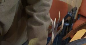 Too jahitrofee hindamisele!