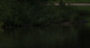 Lindude gripp levib jõudsalt Euroopas