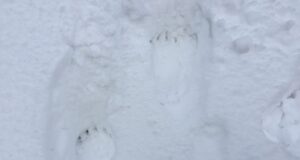 Kas ilm on taliuinakusse heitmiseks veel liialt soe?