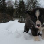 317091277_5993987467298930_6113835082137797298_n