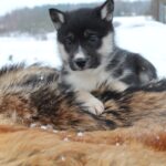 317247911_5993984137299263_2842810341869290687_n