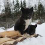 317247911_5993988397298837_6147108578989343075_n