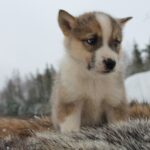 317379137_5993985663965777_3849396814041010306_n