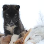 317379159_5993983487299328_1053597221165919343_n