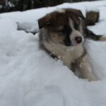 317406707_5993986033965740_6848167156076149027_n