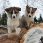 317510551_5993996747298002_9139454303496786940_n