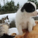 317560316_5993986720632338_1696152993564704611_n