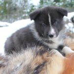 317718817_5993984873965856_6755927674638833930_n