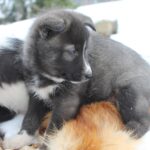 317744204_5993987103965633_557770047111727787_n