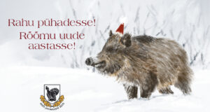 EJS soovib kõigile kaunist pühadeaega!