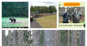 2022. aasta loetumad lood