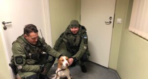 Piiripatrull aitas üksi jäänud jahikoeral toibuda