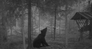 Rajakaamera fotokonkurssi võitjad selgunud