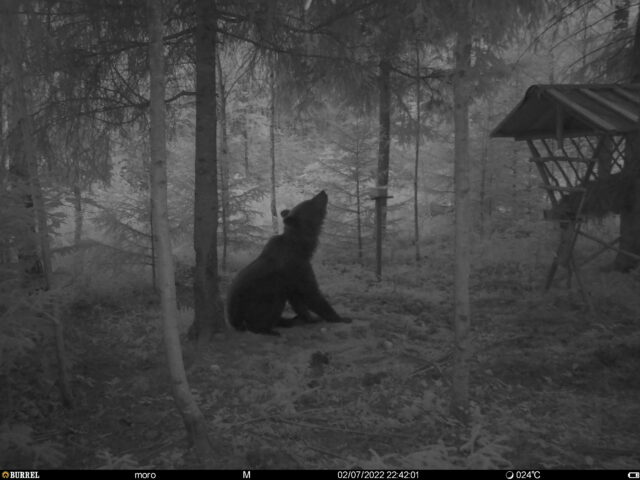 karla-kasar-lahavere-kula-jogeva