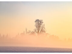 Jahindus on teadus-, mitte arvamuspõhine tegevus