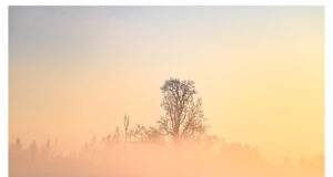 Jahindus on teadus-, mitte arvamuspõhine tegevus