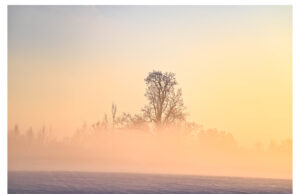 Jahindus on teadus-, mitte arvamuspõhine tegevus