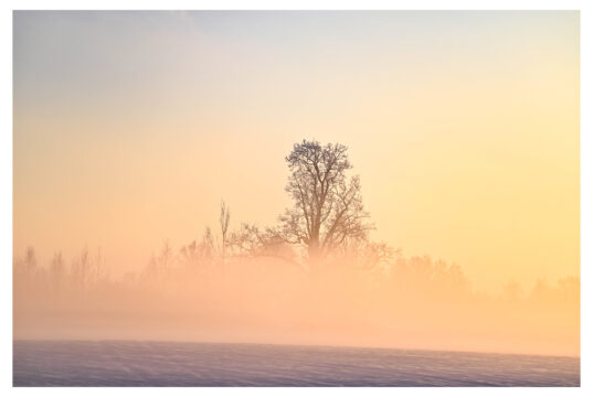 Jahindus on teadus-, mitte arvamuspõhine tegevus