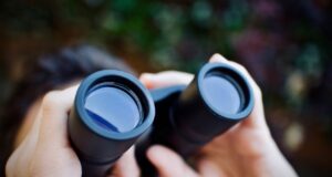 Euroopa jahinduse ülevaade aastale