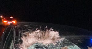 Kaitseminister Hanno Pevkuri auto põrkas põdraga kokku