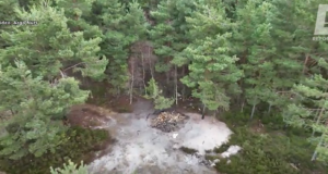 Matkajad avastasid õõvastava korjusevälja