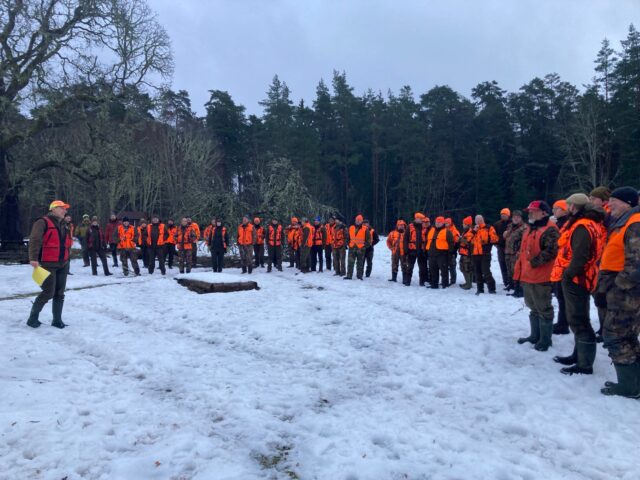 saaremaa jaht 2023-5