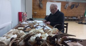 Harjumaal mõõdeti trofeesid