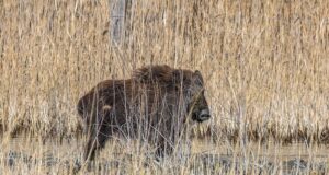 Seakatku uurimisala laienes