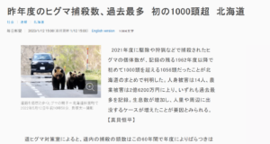 Jaapanis ollakse hädas pruunkarudega