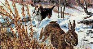 VJÜ Nõukogu Jänesejaht ja koosolek Harglas 24.veebruaril 2023