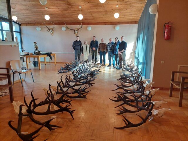 hiiumaa trofeede hindamine