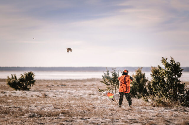 jahikatsed - foto ivi-triin vahera