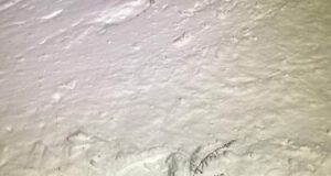 Elroni Tartu-Tallinna rongi ette jäi karu