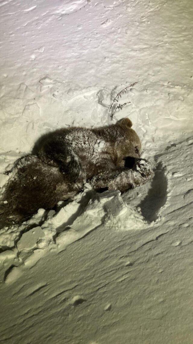 karu klemens-augustinus kasemaa