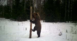 Ilm on taliuinakusse heitmiseks veel soe