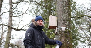 Jaanus Riibe: Kristiines puhastati esmakordselt talgute korras lindude pesakaste