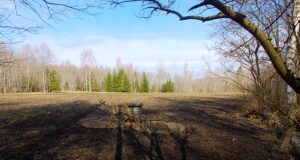 Viljandimaa rajakaamerast on näha, et sokul on sarved juba puhtad